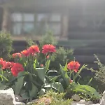 Uneallika Hubane Saunaga Majake 