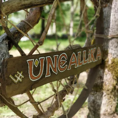 Uneallika Hubane Saunaga Majake 