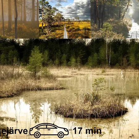 Uneallika Hubane Saunaga Majake 