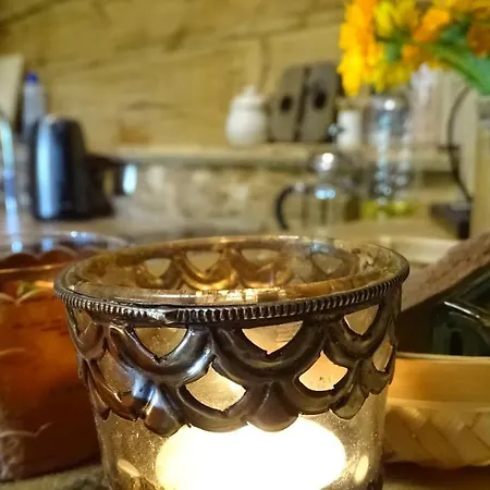 Uneallika Hubane Saunaga Majake 