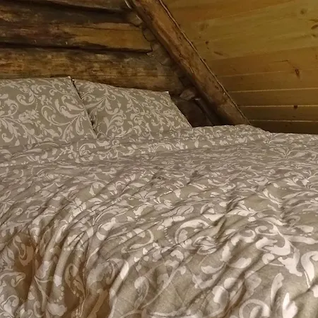 Uneallika Hubane Saunaga Majake 