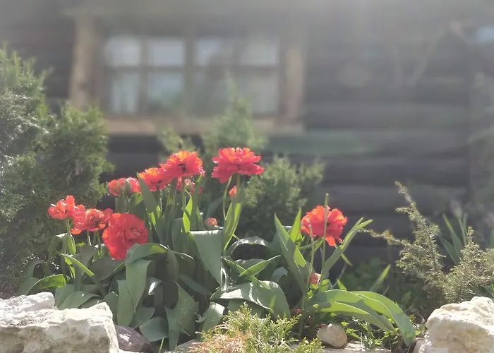 Uneallika Hubane Saunaga Majake 