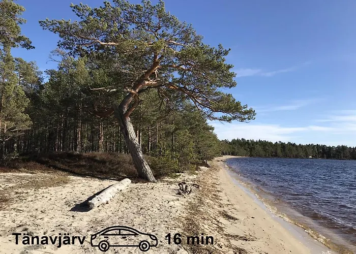 Uneallika Hubane Saunaga Majake 