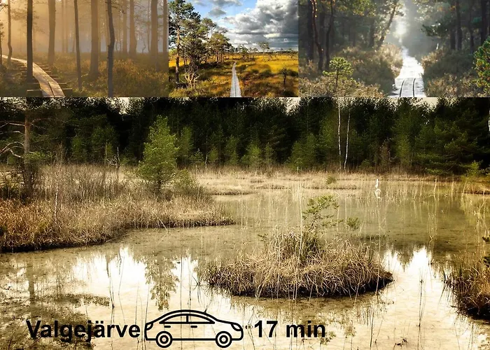 Uneallika Hubane Saunaga Majake 