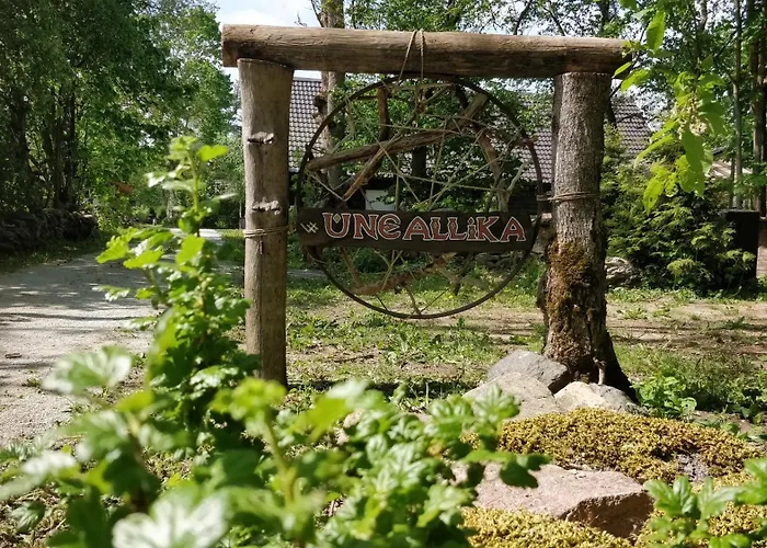 Uneallika Hubane Saunaga Majake 